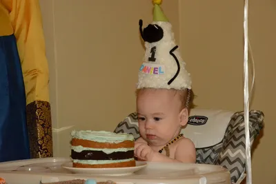 DSC_6547 (Large).JPG